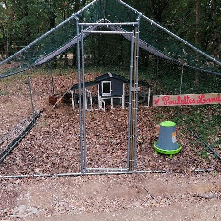 Emplacement Tente Camping Car Saint-Aubin-de-Nabirat Eksteriør bilde
