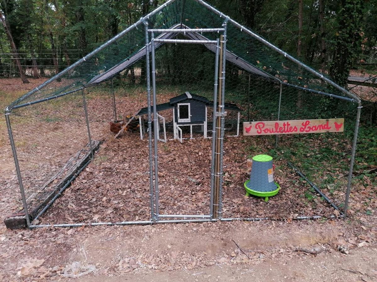 Emplacement Tente Camping Car Saint-Aubin-de-Nabirat Eksteriør bilde