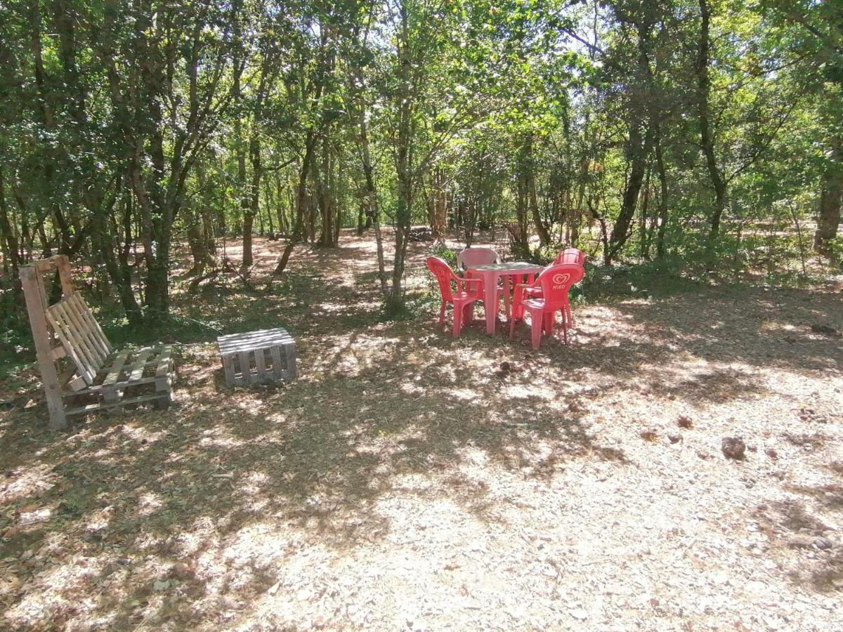Emplacement Tente Camping Car Saint-Aubin-de-Nabirat Eksteriør bilde